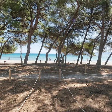 Condesa*holiday 4, Alcudia * Port de Alcudia (Mallorca)